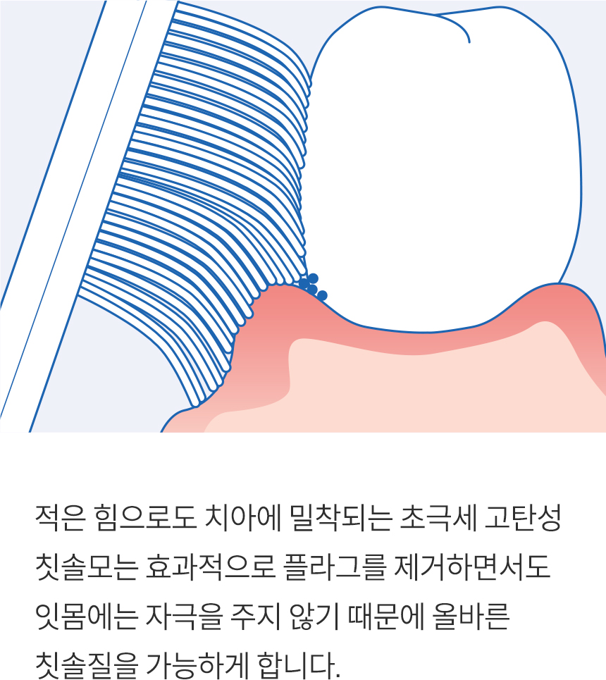 적은힘으로도 치아에 밀착되는 초극세 고탄성 칫솔모는 효과적으로 플라그를 제거하면서도 잇몸에는 자극을 주지 않기 때문에 올바른 칫솔질을 가능하게 합니다.